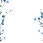 Floral Branches Overlays by Walllows_ (10)