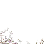 Floral Branches Overlays by Walllows_ (13)