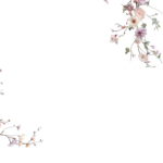 Floral Branches Overlays by Walllows_ (15)