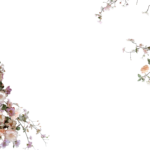 Floral Branches Overlays by Walllows_ (16)