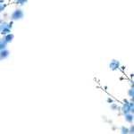 Floral Branches Overlays by Walllows_ (18)