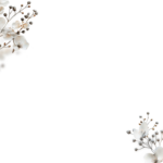 Floral Branches Overlays by Walllows_ (19)