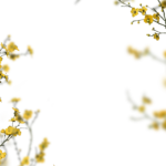 Floral Branches Overlays by Walllows_ (2)