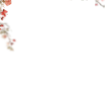 Floral Branches Overlays by Walllows_ (20)