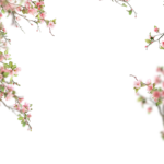 Floral Branches Overlays by Walllows_ (21)