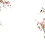 Floral Branches Overlays by Walllows_ (23)