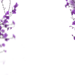 Floral Branches Overlays by Walllows_ (24)