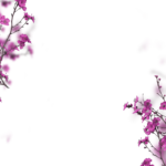 Floral Branches Overlays by Walllows_ (25)