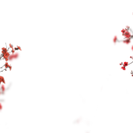 Floral Branches Overlays by Walllows_ (28)