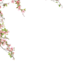 Floral Branches Overlays by Walllows_ (5)