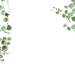 Floral Branches Overlays by Walllows_ (6)