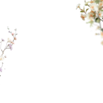 Floral Branches Overlays by Walllows_ (7)