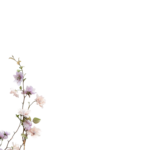 Floral Branches Overlays by Walllows_ (8)